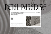 Bargonde | Elegant Serif Condensed, a Serif Font by Hole Hope Design (Thumbnail 12 of 20)