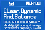 The Champion font, a Sans Serif Font by weknow (Thumbnail 3 of 8)