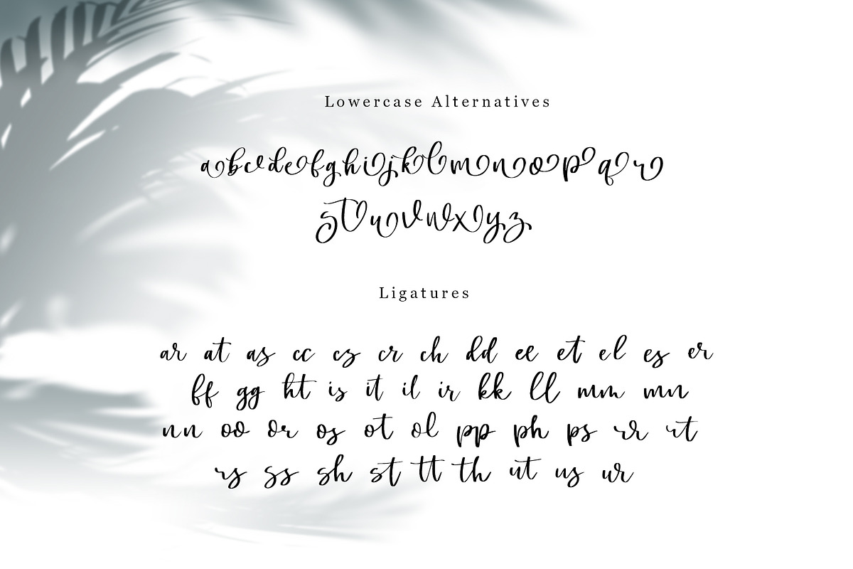 Swally - Brush Script Font preview 8