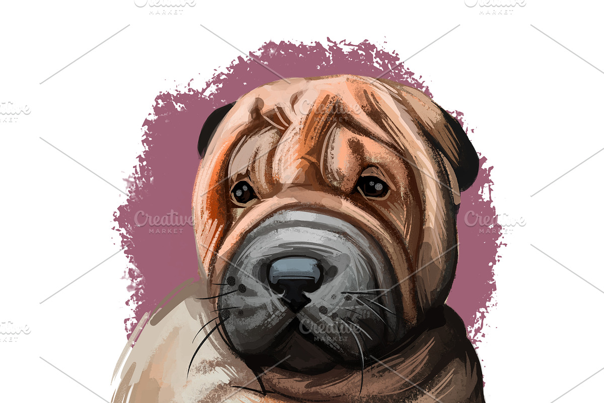 Puppies Dog Breeds Big Bundle 135Pcs, an Animal Illustration by Dneprstock (Photo 42 of 68)