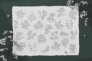 Floral Illustration Set, a Decorative Illustration by iStar Design (Thumbnail 10 of 13)