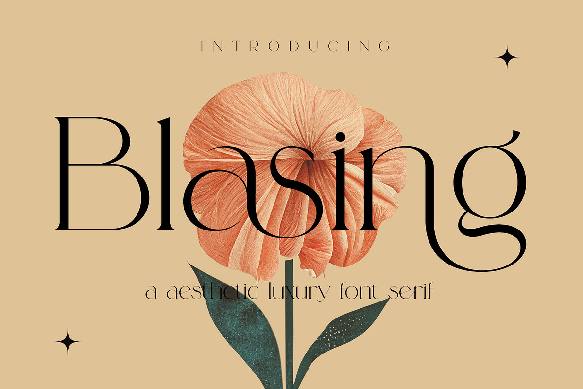 Blasing Aesthetic Serif Font, a Serif Font by Alfinart (Photo 1 of 10)