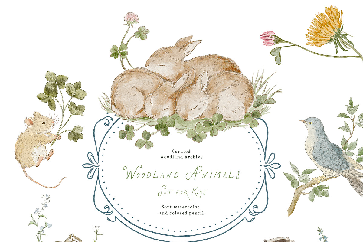 Bramblewood Tales Woodland Clipart, a Decorative Illustration by Muse Artist (Photo 4 of 29)