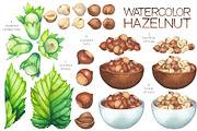 Watercolor hazelnuts and milk, a Food Illustration by Ekaterina Glazkova (Thumbnail 2 of 10)