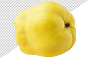 Quince fruit pieces, an Object Graphic by Fruits+Veggies (Thumbnail 3 of 7)