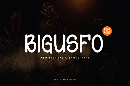 Bigusfo - Tropical & Spring Font, a Handwritten Font by QR Design Studio