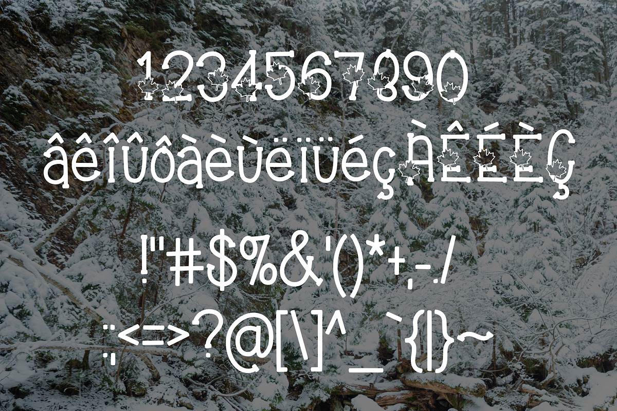 Oh Canada, a Sans Serif Font by Kitaleigh (Photo 3 of 3)