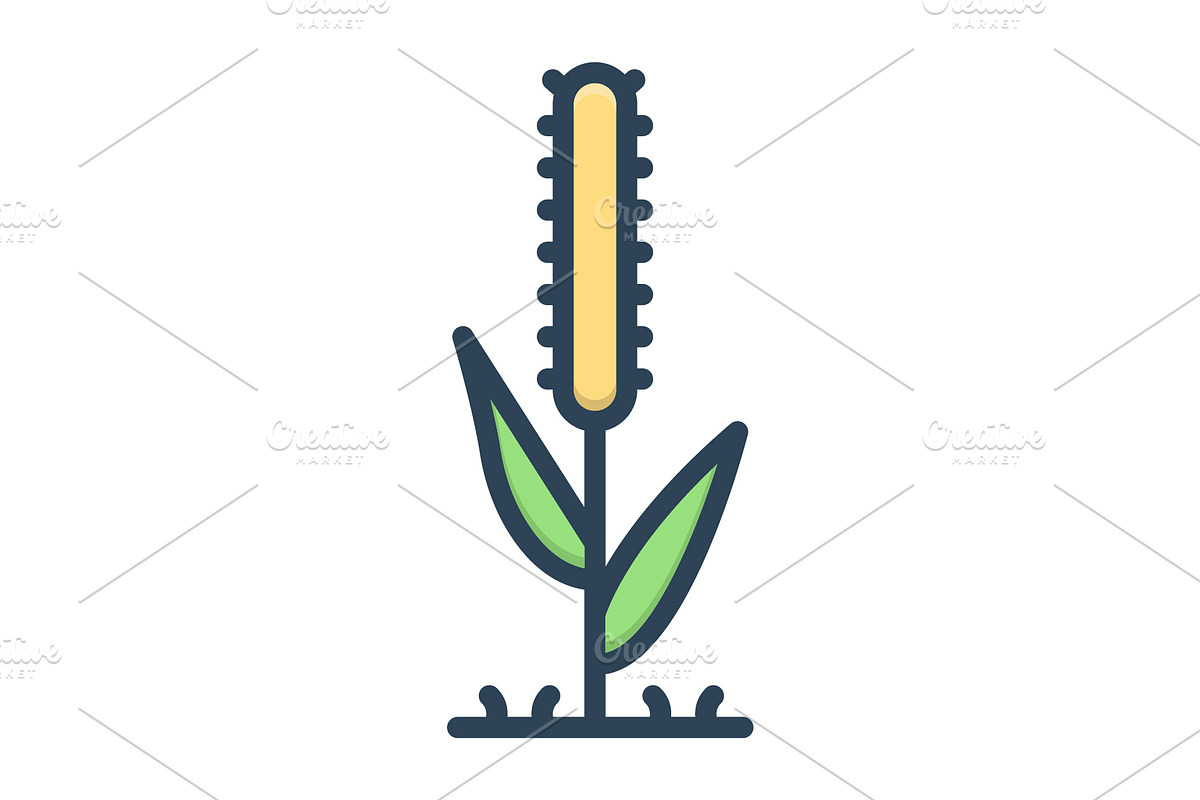 Timothy grass color icon, a Duotone Icon by Creative priyanka
