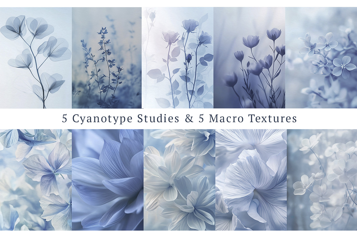 Azure Botanica: Fine Art Watercolor, a Texture Illustration by Nadia Semyroz (Photo 3 of 8)