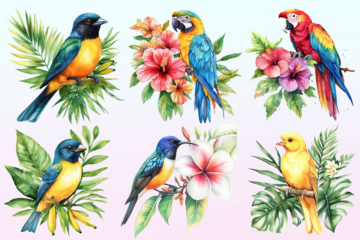 Tropical Birds Garden Clipart, a Graphic by CitraGraphics (Photo 2 of 4)