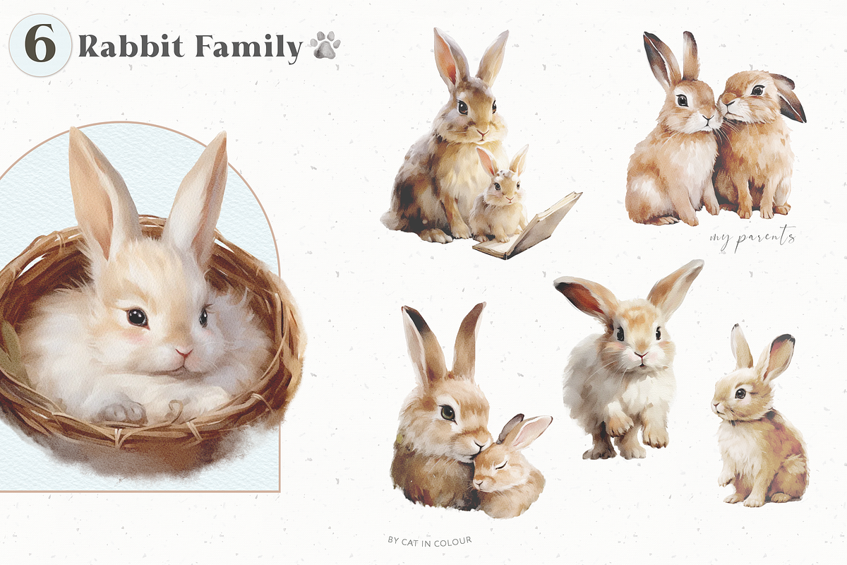 Baby First Year Watercolor Set, an Animal Illustration by Cat In Colour (Photo 4 of 10)