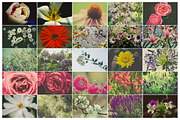 THE FLORAL COLLECTION iseeyouphoto preview 5