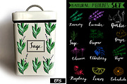 Natural Medicine Watercolor Set, a Food Illustration by Maria Zebroff (Thumbnail 2 of 5)