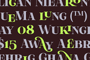 Olivas, a Serif Font by Khoir (Thumbnail 3 of 13)