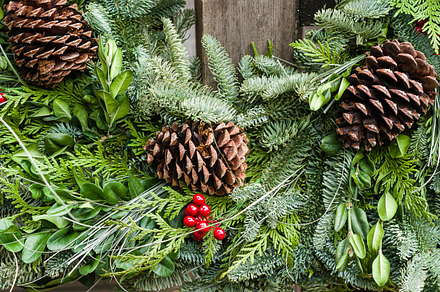 Evergreen Decoration With Pine Cone Featuring Holiday Christmas And preview 6