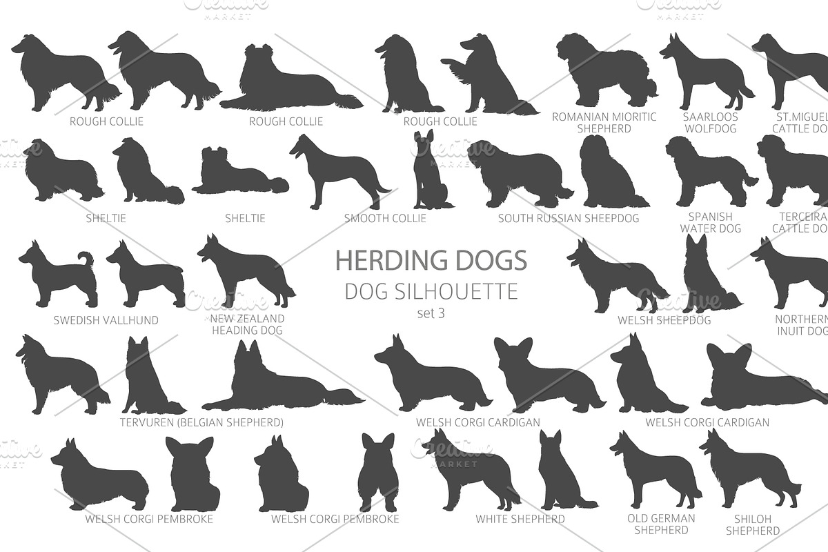 Herding dogs, Sheepdogs Silhouettes, an Animal Illustration by pet design shop (Photo 9 of 13)