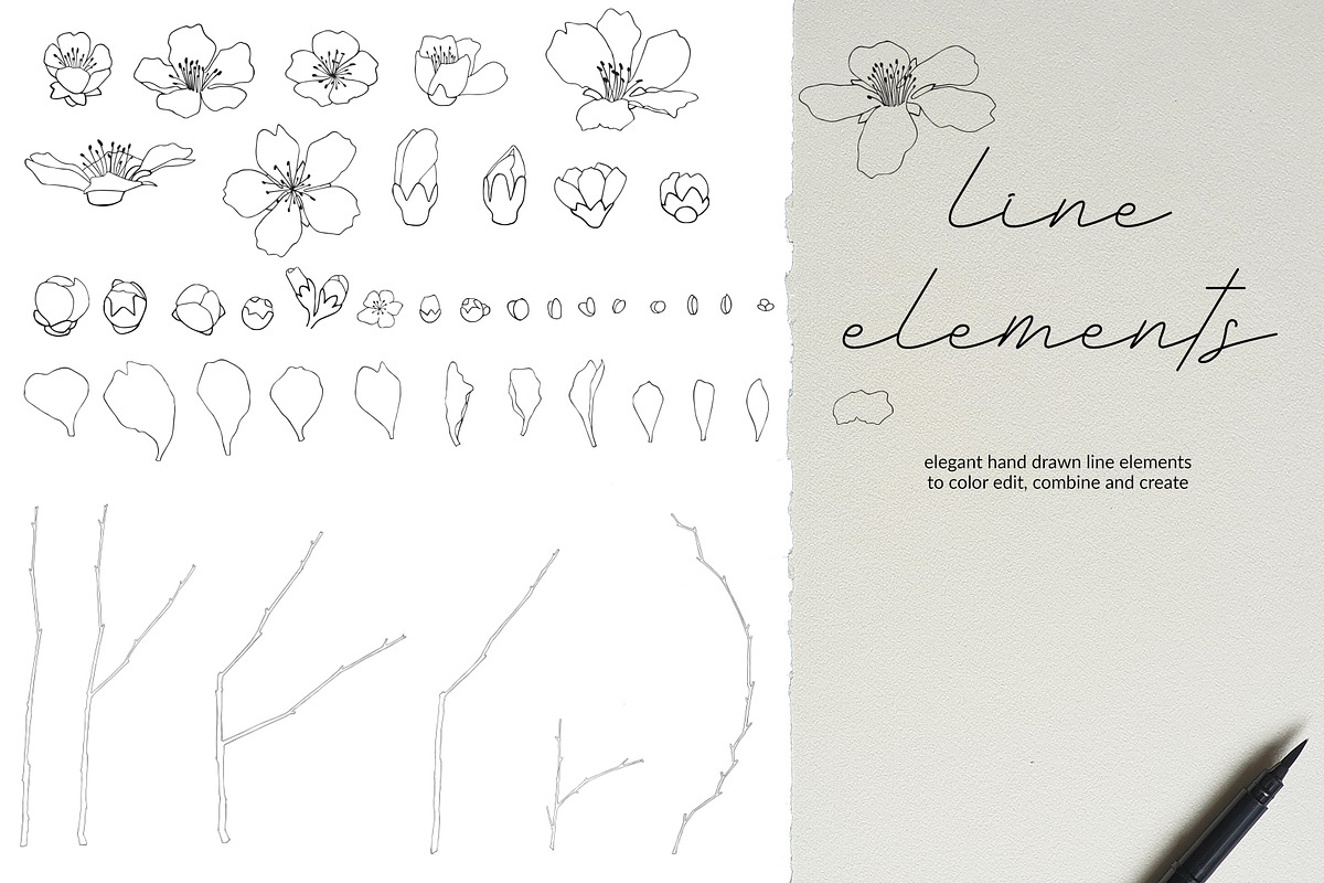 Almond Blossom, an Illustration by R.DesignStudio (Photo 2 of 11)