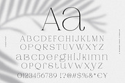 Jaque | Royal Serif, a Serif Font by Pentagonistudio (Thumbnail 10 of 12)