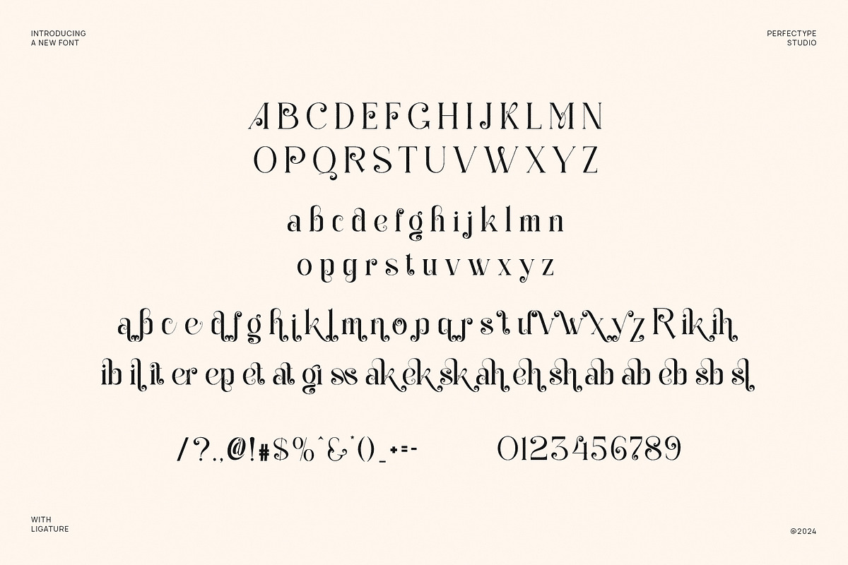 Radiker Elegant Ligature Serif Font, a Serif Font by Perfectype (Photo 5 of 6)