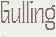 Gulling, a Serif Font by Bagerich Type Foundry (Thumbnail 1 of 11)