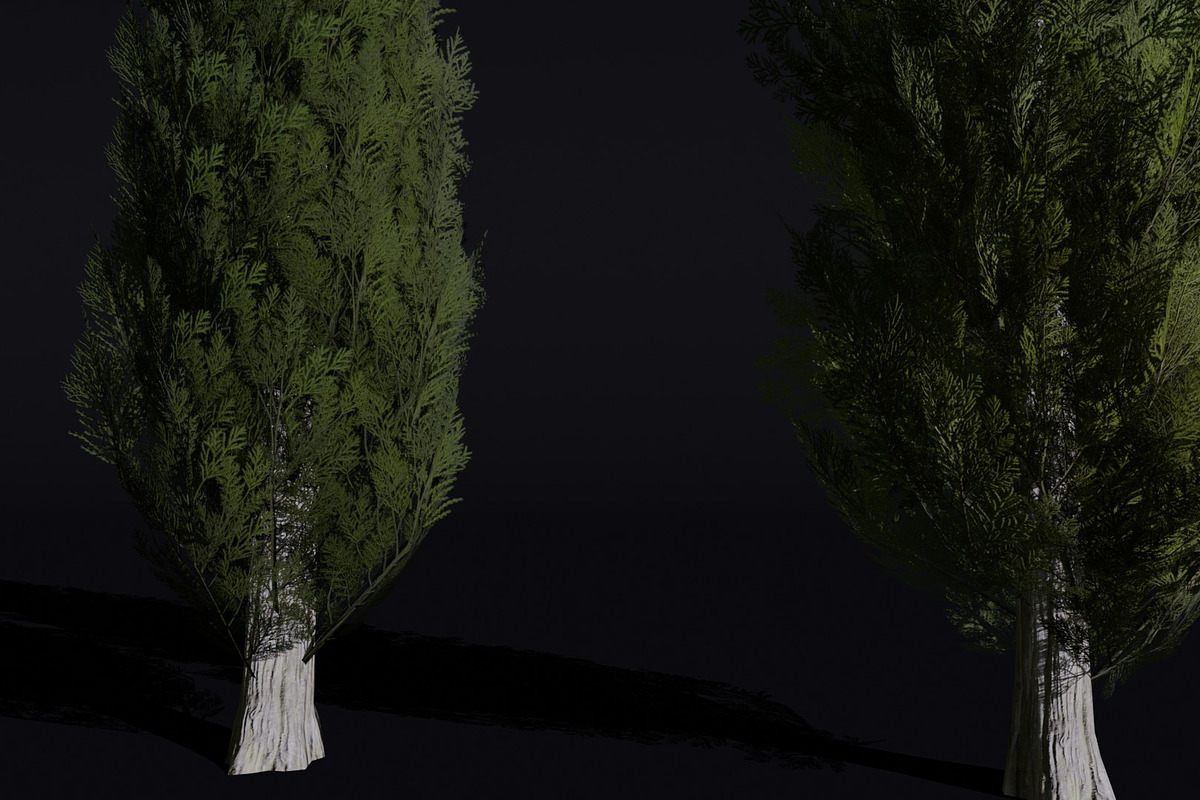 The Cypress Tree, a Plants & Tree 3D Model by FuturePastCreatives (Photo 2 of 4)