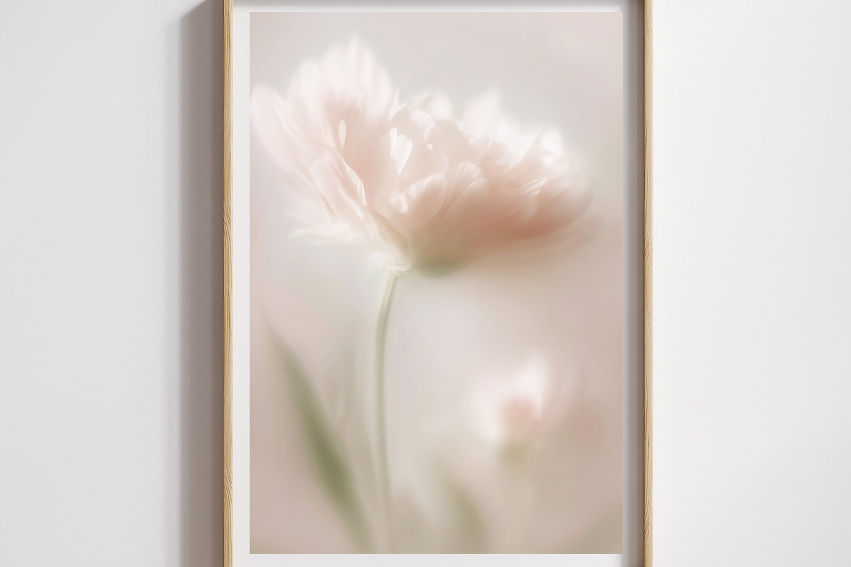 Ethereal Floral Backgrounds Bundle, an Abstract Photo by Allure Art (Photo 8 of 26)