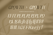 Starlight – Stylish Editorial Font, a Serif Font by Sensatype (Thumbnail 15 of 17)