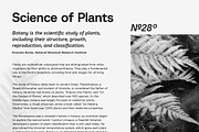 Baru Sans Geometric Font Family, a Sans Serif Font by Kereatype (Thumbnail 16 of 19)