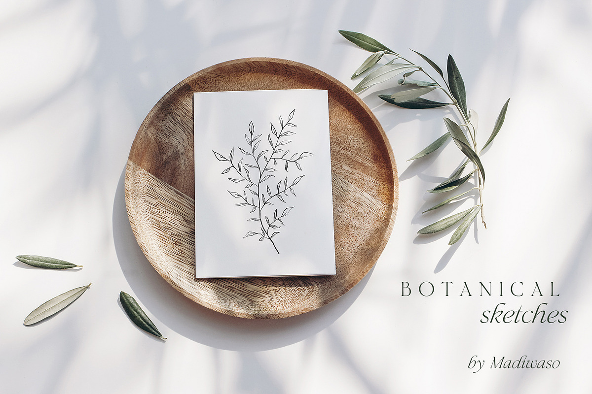 Minimalist floral botanical line art, a Decorative Illustration by Madiwaso (Photo 4 of 9)