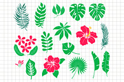 Hibiscus | Tropical leaves | Vector, an Object Graphic by Elena Nesterova (Thumbnail 2 of 4)