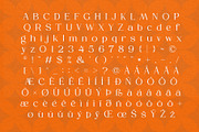 Honera || modern font duo, a Serif Font by ToniStudio (Thumbnail 9 of 12)