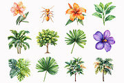 Rainforest Animals Clipart, an Illustration by Design Market (Thumbnail 3 of 5)