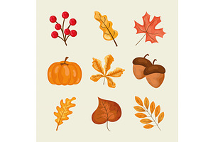 Autumn Leaves Design