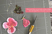 Floral Abstract Collage Kit | PNGs, a Graphic by Memow Studio (Thumbnail 7 of 7)