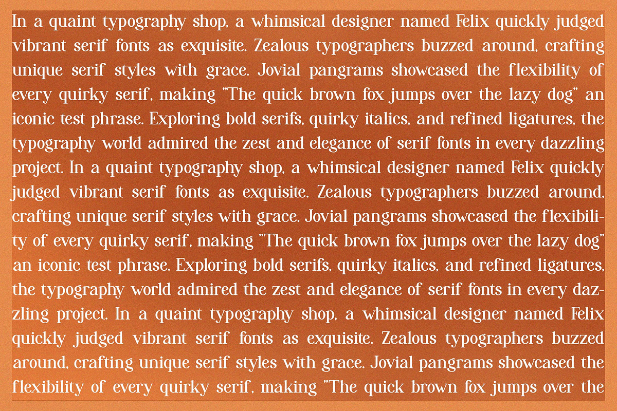 Reihard Sejenak | Modern Serif, a Serif Font by Denustudios (Photo 9 of 13)