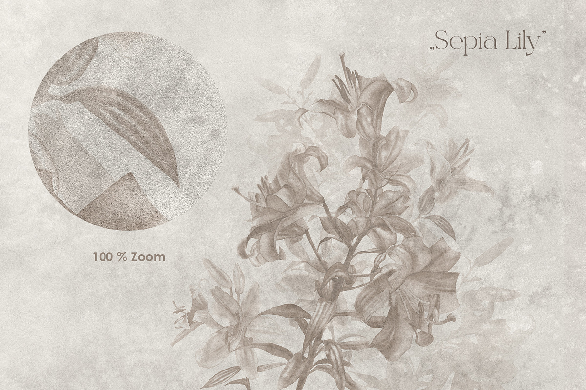 Timeless Lily wall mural set, a Wallpaper Graphic by Timofi Art (Photo 8 of 13)
