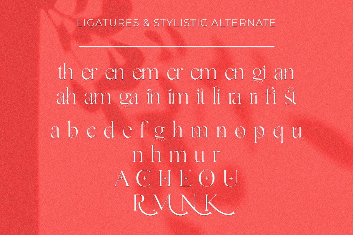Gallient, a Serif Font by DYSA Studio (Photo 15 of 15)
