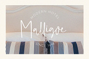 Malligoe - The Script Branding Font, a Script Font by Graphicfresh (Thumbnail 6 of 11)