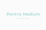 Pantra Medium, a Sans Serif Font by Nicolas Desle (Thumbnail 1 of 5)