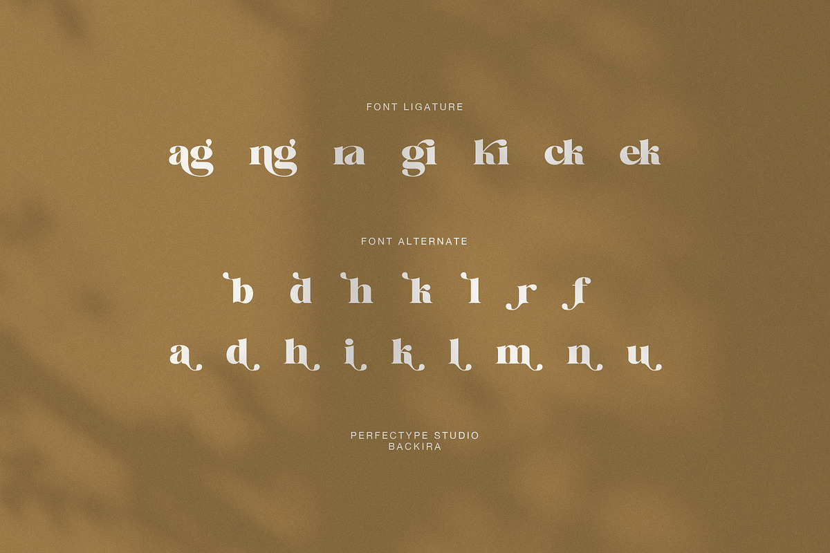 Backira Luxury Serif Font, a Serif Font by Perfectype (Photo 8 of 8)