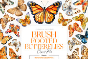 Watercolor Butterfly Species Clipart, an Animal Illustration by BrushstrokeArtGB (Thumbnail 1 of 9)