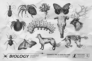 125 Vector Bitmap Assets. Biology