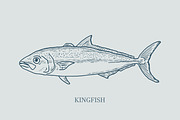 Hand drawn vectors of saltwater fish, an Animal Illustration by Naty Art (Thumbnail 9 of 11)