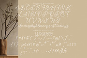 Boldful Starlight, a Handwritten Font by operatype.co (Thumbnail 13 of 15)