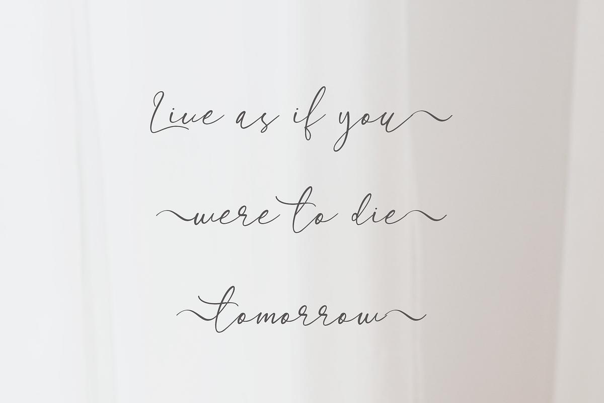 Longtail Script Font, a Script Font by Rasgood (Photo 5 of 5)