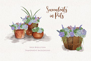 Seasonal Succulents, a Seasonal Illustration by Maggie Stilwell Design (Thumbnail 2 of 13)