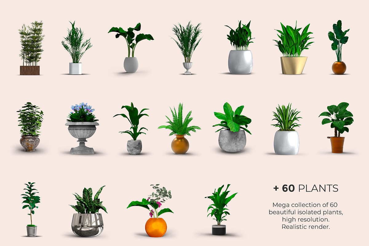 60 PSD Beautiful isolated plants, a Household Mockup by JAZZ STUDIO (Photo 6 of 7)