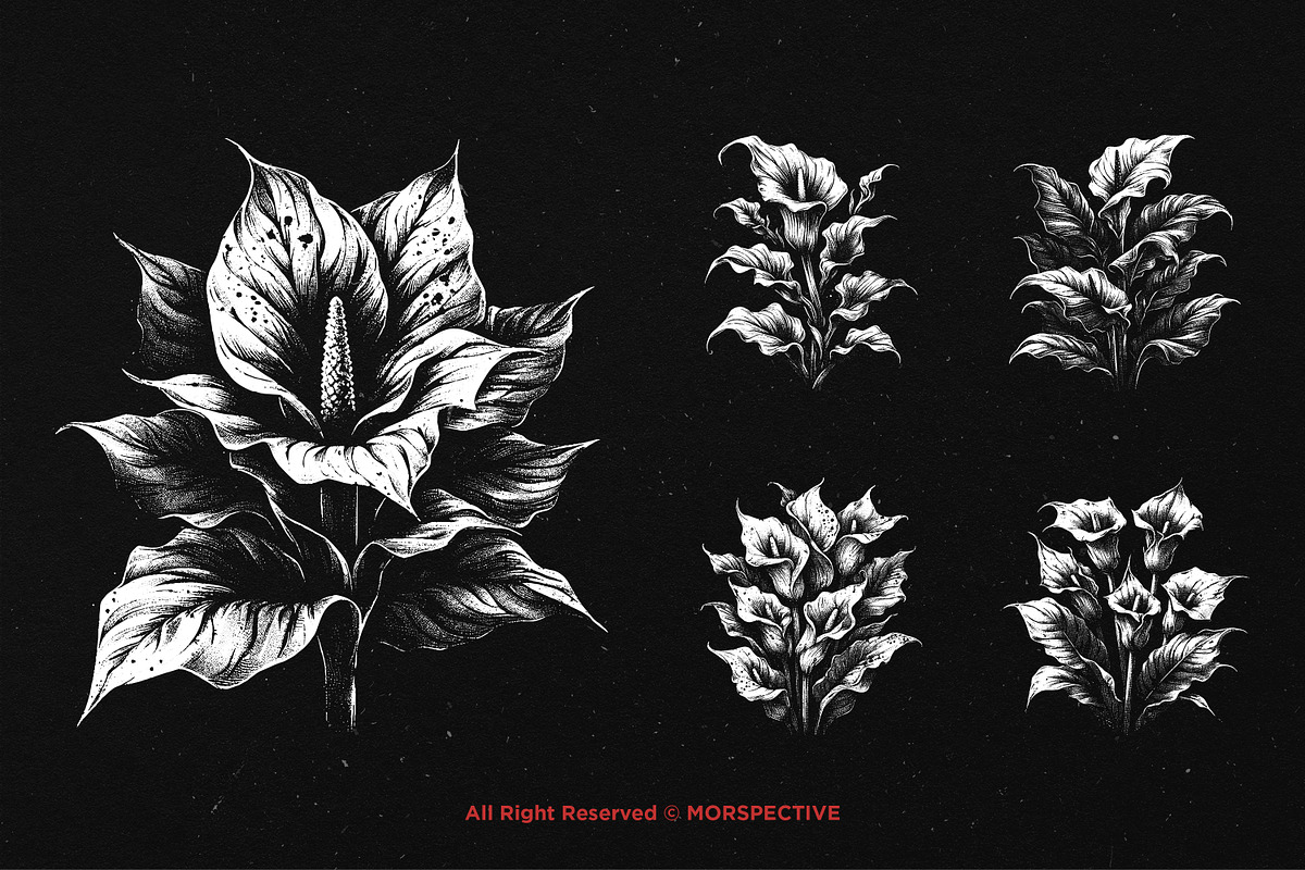 10 Bundle Dark Art Aglonema Botani, an Illustration by Morspective (Photo 5 of 7)