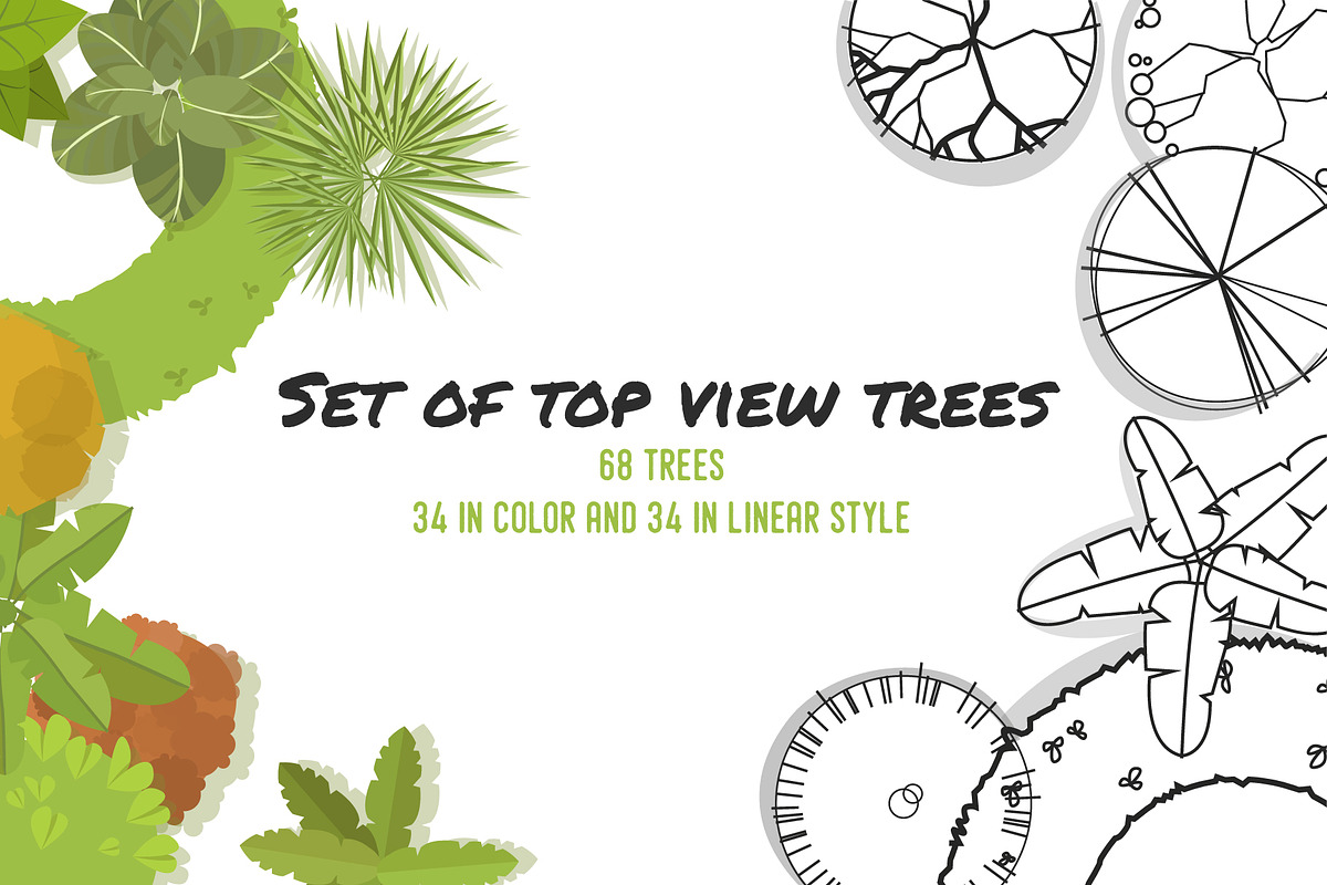 Set of top view trees and bushes, an Illustration by BSVIT (Photo 1 of 3)