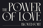 Bloved a Classy Thin Serif Font, a Serif Font by Honestype (Thumbnail 2 of 12)